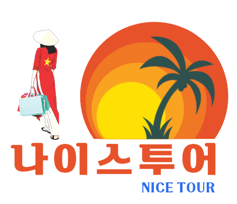 나이스투어 logo